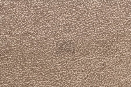 Photo for Golden beige imitation Artificial leather texture background - Royalty Free Image