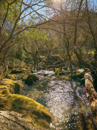 Téléchargez les photos : Water stream near Fecha de Barjas waterfall (also known as Tahiti waterfall) in the mountains of Peneda-Geres National Park, Portugal - en image libre de droit