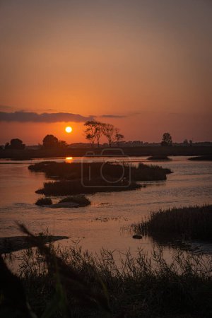 Photo for View of sunset on Ria de Aveiro, Ovar, Portugal - Royalty Free Image