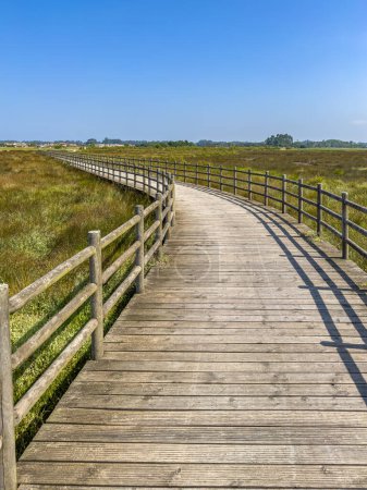 Téléchargez les photos : Passerelle en bois Eco path, sentier écologique au lagon Aveiro, Murtosa, Portugal. - en image libre de droit