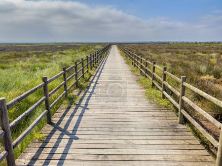 Téléchargez les photos : Passerelle en bois Eco path, sentier écologique au lagon Aveiro, Murtosa, Portugal. - en image libre de droit