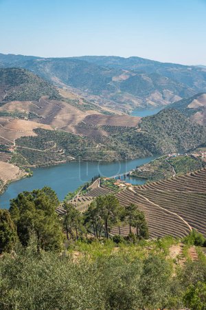 Vom Aussichtspunkt Vargelas aus kann man eine ausgedehnte Landschaft am Douro und seine künstlichen Hänge sehen. douro region, berühmte portugiesische weinregion.