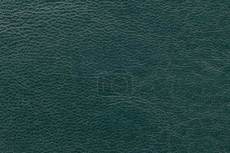 Photo for Synthetic leather green background texture. - Royalty Free Image
