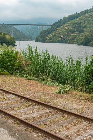 Idyllic landscape of old train line beside the Douro river