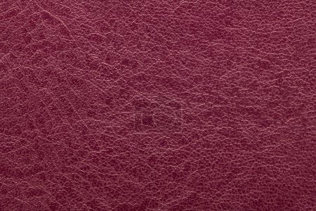 Photo for Synthetic leather dark red background texture - Royalty Free Image