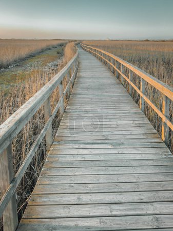 Walkways Barrinha of Esmoriz, situated between the municipalities of Espinho and Ovar, Portugal. It is part of the Natura 2000 Network and is classified as an IBA (Important Bird Area).