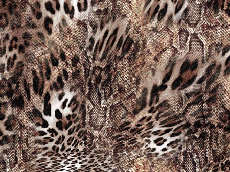 Téléchargez les photos : Fond texture serpent et léopard - en image libre de droit