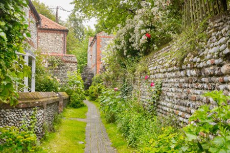 Téléchargez les photos : 23 June 2019: Cley next the Sea, Norfolk,UK - Beautiful leafy back lane, full of plants, trees, greenery and path. Cobbled wall is typical of the area. - en image libre de droit