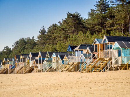 Téléchargez les photos : 29 juin 2019 : Wells-Next-The-Sea, Norfolk, Angleterre, Royaume-Uni - Cabanes de baignade sur la plage, arbres derrière. - en image libre de droit