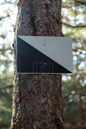 Die Jagd bewahrt das Warnschild am Stamm einer Kiefer. Gefahrenschild im Wald, im Nationalpark Sierra de Guadarrama, Madrid, Spanien.