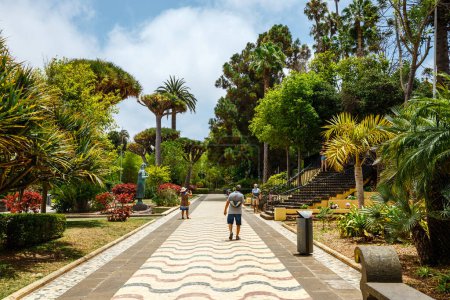 Téléchargez les photos : Arucas, Spain, 19 July, 2022: Beautiful garden in the centre of Arucas, Gran Canaria,  Spain. - en image libre de droit