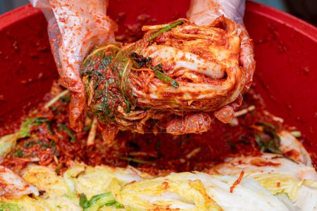 Téléchargez les photos : Le processus de fabrication d'un plat traditionnel coréen, le kimchi. Gros plan de la main d'une femme faisant du kimchi au chou en ajoutant divers assaisonnements au chou salé - en image libre de droit