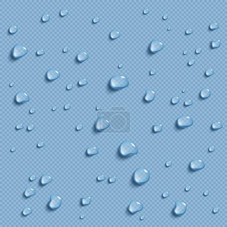 Water drops isolated on transparent background. Realistic pure droplets condensed. Vector image