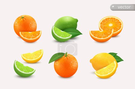 Téléchargez les photos : Ensemble d'agrumes citron, citron vert, orange - entiers, coupés en deux et en tranches. Illustration vectorielle 3D réaliste isolée sur fond blanc - en image libre de droit