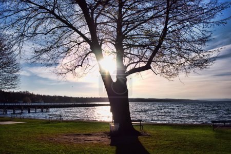 Téléchargez les photos : Soleil derrière un arbre, cliché, le long du lac Skaneateles à Skaneateles, New York - en image libre de droit