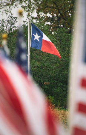 The state flag of Texas waving in the wind on flagpole. American flags in the foreground and trees in the background.