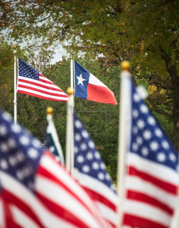Die Staatsflagge von Texas und die amerikanische Flagge wehen an Fahnenmasten im Wind. Amerikanische Flaggen im Vordergrund und Bäume im Hintergrund.