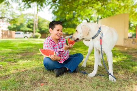 Téléchargez les photos : Joyeux garçon hispanique riant tout en mangeant un fruit de pastèque tout en traînant à l'extérieur avec son beau chien récupérateur - en image libre de droit
