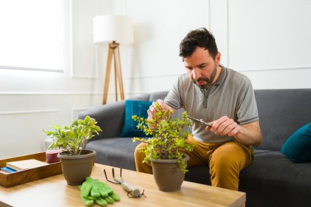 Foto de Atractivo hombre caucásico en sus 30 años cuidando de sus plantas verdes y la jardinería en la sala de estar - Imagen libre de derechos