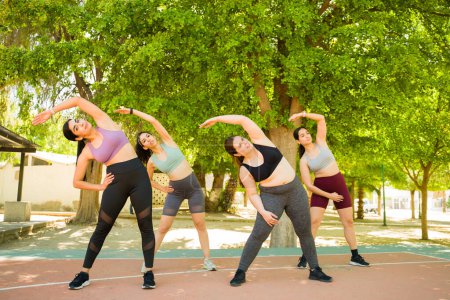 Téléchargez les photos : Sportives belles femmes diverses prenant un cours de groupe de conditionnement physique dans le parc et s'étirant tout en faisant un entraînement en plein air dans le parc - en image libre de droit
