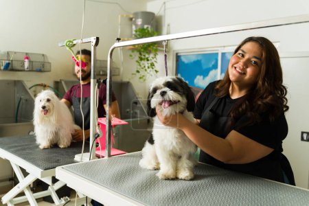 Téléchargez les photos : Femme gaie et toiletteur animal de compagnie finissant de se baigner et de couper les cheveux d'un chien shih tzu adorable au spa - en image libre de droit