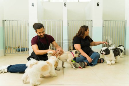 Téléchargez les photos : Heureuse femme latine et homme souriant travaillant à la garderie de chien jouant avec de beaux chih tzu et chiots à l'hôtel pour animaux de compagnie - en image libre de droit