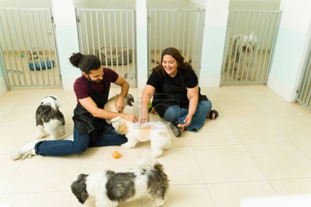 Téléchargez les photos : Travailleurs heureux s'amuser à jouer avec shih tzu et chiots chiens séjournant à la garderie pour chiens ou hôtel pour animaux de compagnie - en image libre de droit