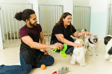 Téléchargez les photos : Travailleurs souriants ayant beaucoup de plaisir à jouer et à donner des jouets à de beaux chiens séjournant à la garderie ou à l'hôtel pour animaux de compagnie - en image libre de droit
