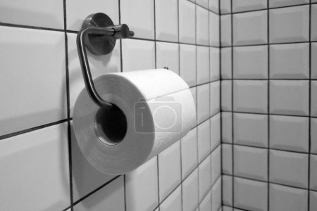 Téléchargez les photos : Close-up of the toilet paper holder in the toilet - en image libre de droit