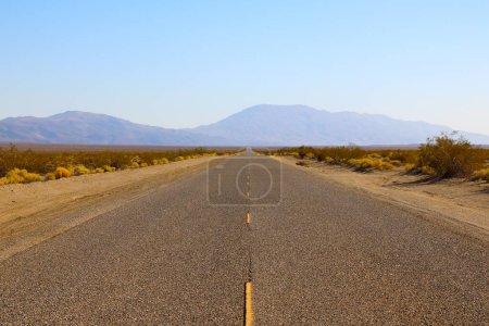 Photo for An empty desert road in the United States. America's roads - Royalty Free Image