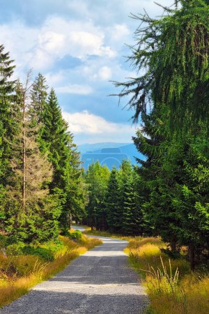 Photo for Beautiful mountain road on a sunny day. Rest in the mountains - Royalty Free Image