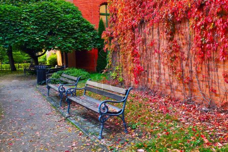 Téléchargez les photos : Bancs vides dans le parc par une journée ensoleillée d'automne - en image libre de droit