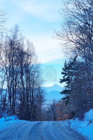 Eine schneebedeckte Straße erstreckt sich durch eine winterliche Landschaft, flankiert von hohen Bäumen auf beiden Seiten. In der Ferne ragen majestätische Berge in den Himmel und schaffen eine atemberaubende Kulisse für die heitere