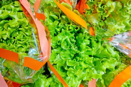 Frische grüne Salatbüschel säuberlich in durchsichtige Plastiktüten verpackt, die jeweils mit einer orangefarbenen Schleife geschmückt sind. Die lebhaften Farbtöne und die knackige Textur machen dies zu einem idealen Image für die Förderung von Bioprodukten, Bauernmärkten, Lebensmittelgeschäften und einer Kampagne für gesunde Ernährung.