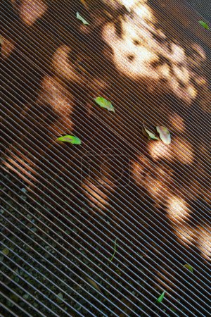 Abstrakte Ansicht von verstreuten Blättern auf einer metallenen Gitterfläche, die von gepunktetem Sonnenlicht beleuchtet wird. Das Zusammenspiel von Licht und Schatten schafft ein natürliches, künstlerisches Muster mit den Strukturen des Gitters und organischen Blättern.