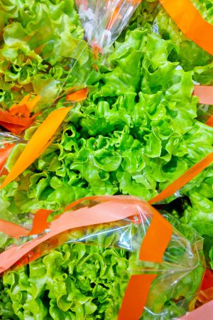 Fresh green lettuce bunches, wrapped in plastic with orange ribbons, creating an appealing display of organic produce. ideal for visuals healthy eating, fresh vegetables, and market scenes to promote a nutritious lifestyle.