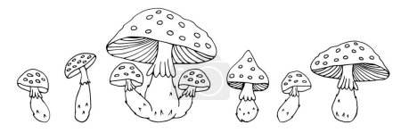 Illustration for Fly agaric mushrooms. Set. Poisonous mushrooms. Vector illustration, doodle. Isolated background. - Royalty Free Image