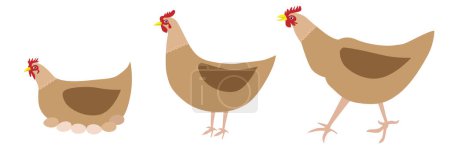 Illustration for Chicken farm vector design illustration. - Royalty Free Image