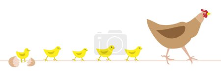 Téléchargez les illustrations : Poule aux poulets. Famille Bird. Illustration vectorielle. Élevage de poulet. - en licence libre de droit