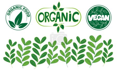 Illustration for Vector natural, organic food, bio, eco labels and shapes on a white background. Icons set - Royalty Free Image