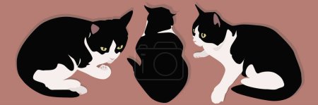 Photo for Three black and white cats are sitting next to each other. Domestic cats are favorite pets. Vector illustration. - Royalty Free Image