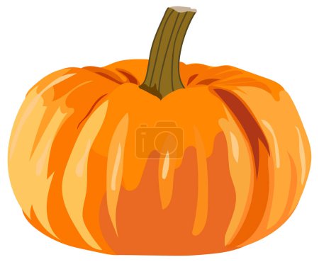 Illustration for Vector illustration of ripe pumpkin on a white background. To advertise recipe with pumpkin. For the holiday of Halloween. The most delicious fruit of autumn ripe pumpkin. For autumn holidays. - Royalty Free Image
