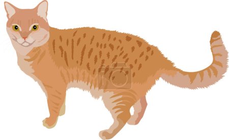 Illustration for A cat with peach-colored spots. Vector image of a pet. - Royalty Free Image