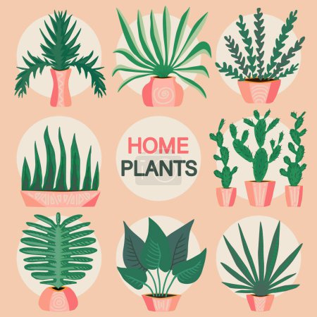 Ilustración de Gran conjunto de plantas en macetas. Plantas para la decoración del hogar. - Imagen libre de derechos