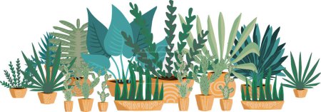 Téléchargez les illustrations : Grand ensemble de plantes en pots. Plantes pour la décoration intérieure. - en licence libre de droit