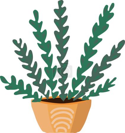 Illustration for Home plant. Vector illustration. Plant in the pot. - Royalty Free Image