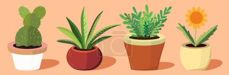 Illustration for Set of house plants in pots. Plants for home decoration. - Royalty Free Image