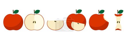 Téléchargez les illustrations : Un groupe de pommes avec une tranche coupée en deux - en licence libre de droit