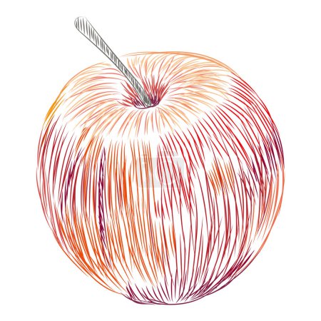 Illustration for A drawing of an apple with a pencil in it - Royalty Free Image
