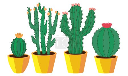 Illustration for A variety of cactus plants in pots - Royalty Free Image